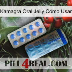 Kamagra Oral Jelly Cómo Usar 40